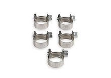 Load image into Gallery viewer, Earl's - Vapor Guard™ Hose Clamp for 5/16" and 3/8" Hoses