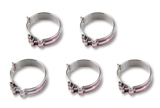 Earl's - Super Stock Clamps for 6 AN Hose