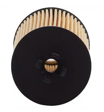 Load image into Gallery viewer, CQ Premium Oil Cartridge Filter – GM Compact Cars &amp; Crossovers - 84674