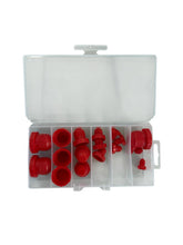 Load image into Gallery viewer, Main ST Collective 18pc AN Plugs Kit 3AN-12AN JIC Fitting Dust Covers