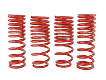 Load image into Gallery viewer, Skunk2 Racing Lowering Springs for 1988-1991 Honda Civic and CRX - Part # SKK519-05-1650