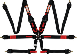 RaceQuip Black FIA CAMLOCK 6-Point 2-Inch Pull-Down Lap Fire Harness RQP855005
