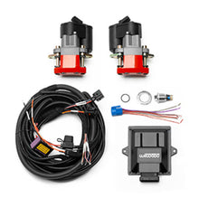 Load image into Gallery viewer, Wilwood Electronic Parking Brake Rear Retrofit Kit with 0.810-inch Rotor and Red Caliper