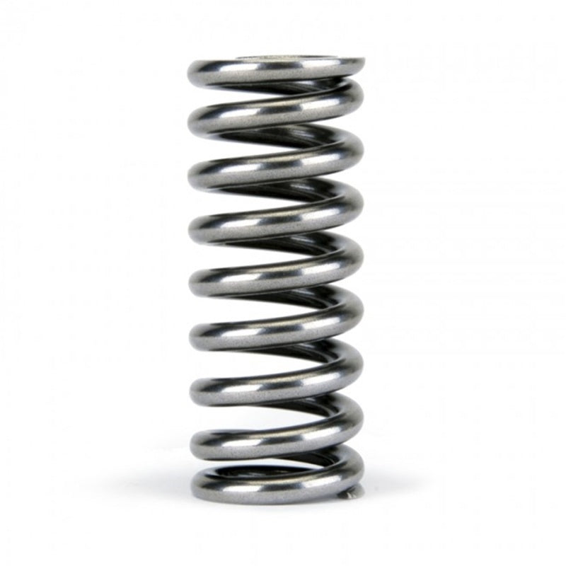 Skunk2 Racing Alpha Series Honda D Series VTEC Valve Spring Set Part #skk311-05-1345