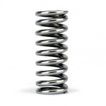 Load image into Gallery viewer, Skunk2 Racing Alpha Series Honda D Series VTEC Valve Spring Set Part #skk311-05-1345