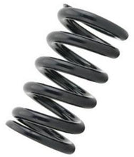 Load image into Gallery viewer, Tein Honda / Acura Replacement Straight Spring C06 - ID 70mm, Length 250mm, 6kg Pair