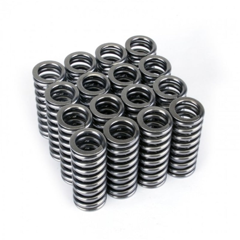 Skunk2 Racing Alpha Series Honda D Series VTEC Valve Spring Set Part #skk311-05-1345