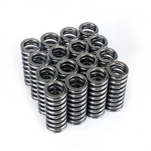 Load image into Gallery viewer, Skunk2 Racing Alpha Series Honda D Series VTEC Valve Spring Set Part #skk311-05-1345