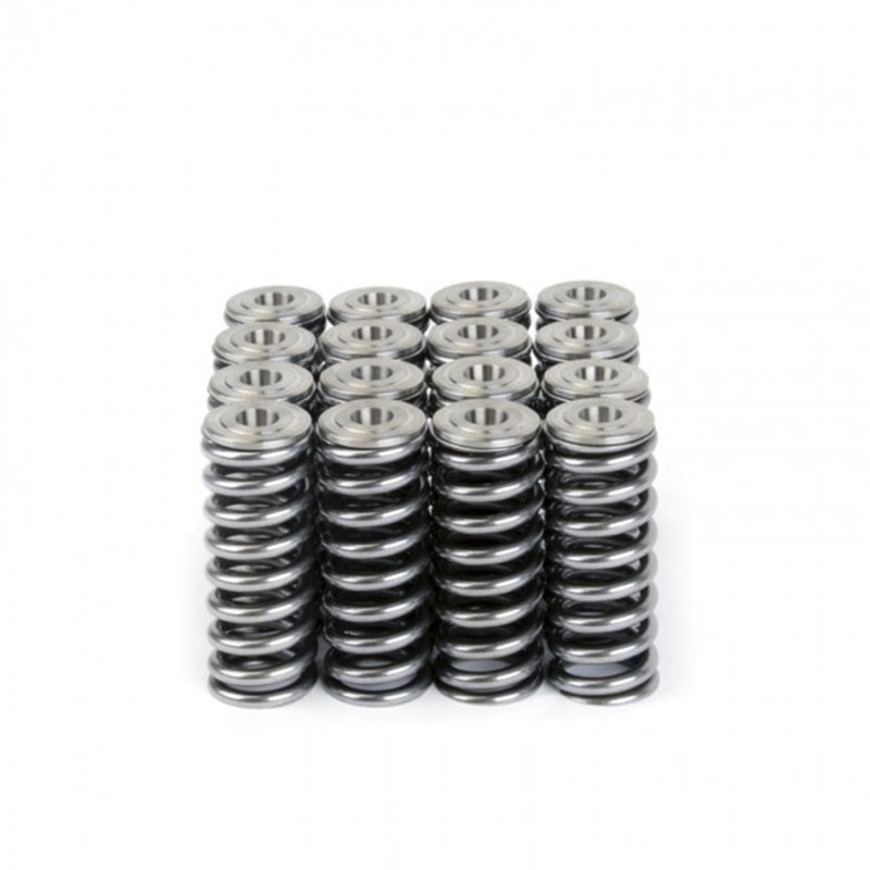 Skunk2 Alpha Series Valve Spring and Titanium Retainer Kit for Honda D-Series Engines
