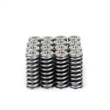 Load image into Gallery viewer, Skunk2 Alpha Series Valve Spring and Titanium Retainer Kit for Honda D-Series Engines
