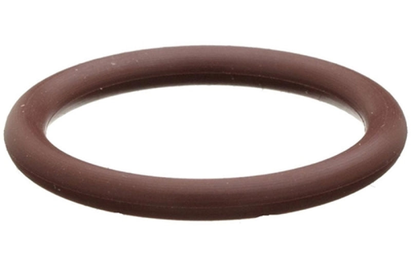 Radium Engineering O-Ring 5-Pack for 6AN ORB Fittings - Viton Seals