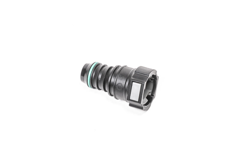 Radium Engineering 3/4 Inch SAE Female to 3/4 Inch Barb Fitting