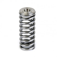 Load image into Gallery viewer, Skunk2 Alpha Series Valve Spring and Titanium Retainer Kit for Honda D-Series Engines