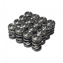 Load image into Gallery viewer, Skunk2 Alpha Series Honda/Acura H Series Valve Spring and Titanium Retainer Kit (Part Number: skk344-05-1360)