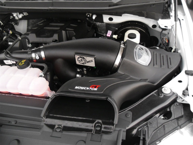 aFe Momentum GT Pro Dry S Cold Air Intake System for Ford F-150 2015-2016 V6-2.7L & 3.5L EcoBoost