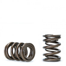 Load image into Gallery viewer, Skunk2 Racing Alpha Valve Spring Set for Honda/Acura K-Series VTEC Engines – Performance and Reliability