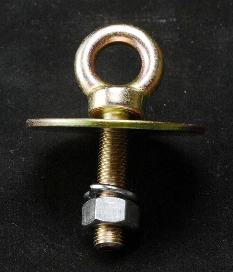 RaceQuip Long Eye Bolt 7/16-20 Floor Mount Kit - RQP700060 Automotive Part