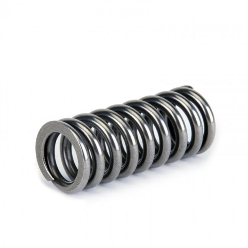 Skunk2 Racing Alpha Series Honda D Series VTEC Valve Spring Set Part #skk311-05-1345