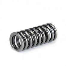 Load image into Gallery viewer, Skunk2 Racing Alpha Series Honda D Series VTEC Valve Spring Set Part #skk311-05-1345