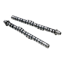 Load image into Gallery viewer, Skunk2 Tuner Series 06-11 Honda Civic Coupe/Sedan R18 Stage 2 Cam Shafts